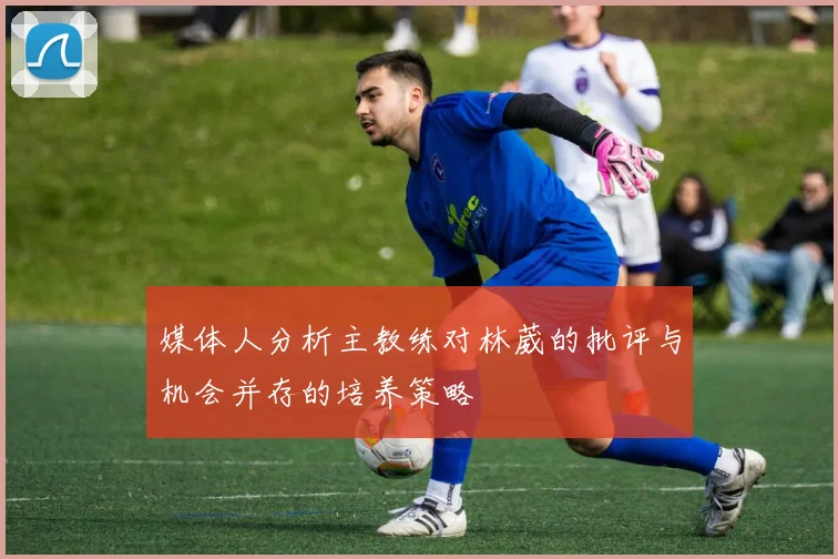 媒体人分析主教练对林葳的批评与机会并存的培养策略