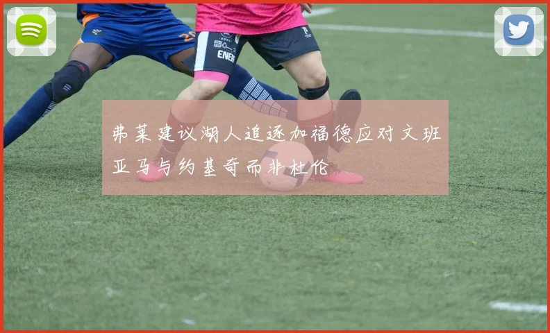 弗莱建议湖人追逐加福德应对文班亚马与约基奇而非杜伦